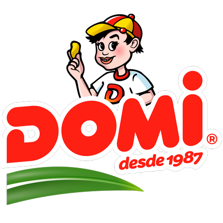 Logo domi